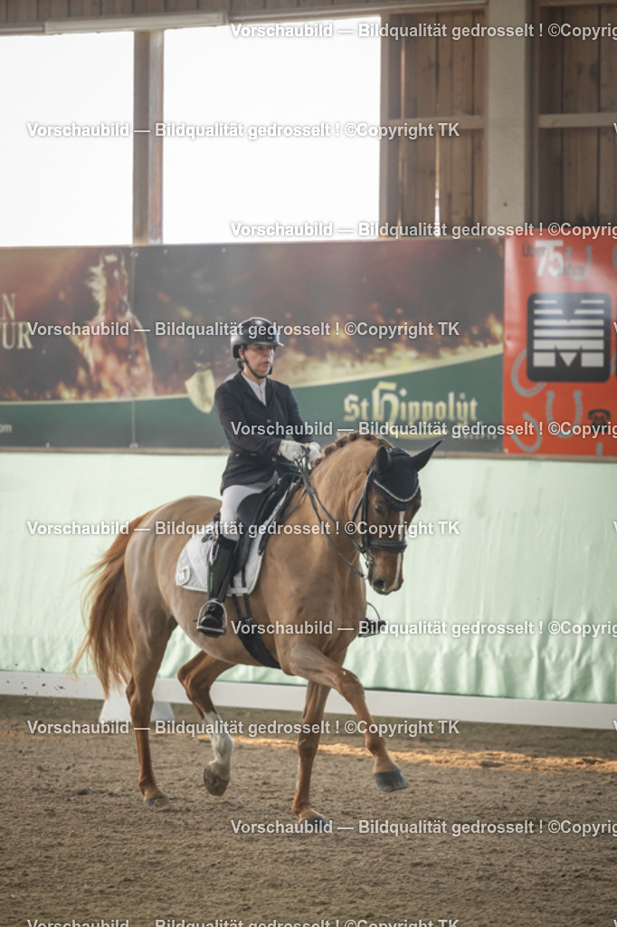 _D5A3973 | Emotionale Pferde- & People-Fotografie rund um Heidelberg, Leimen & Umgebung. Natürliche Fotos von Pferd, Mensch & Familie. Jetzt Termin sichern!