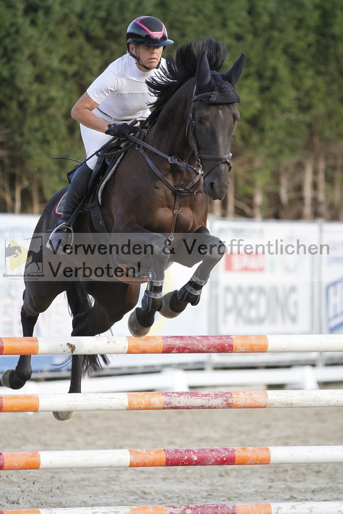 _MG_6518 | equestrian-live-com