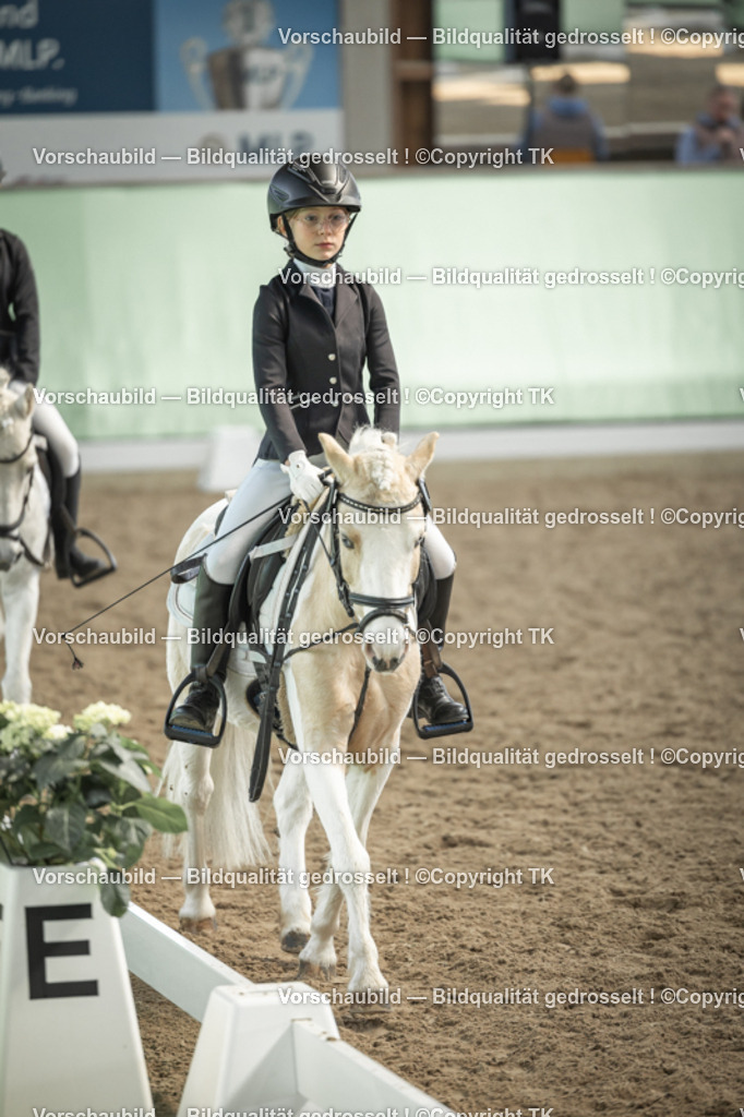 _D5A5647 | Emotionale Pferde- & People-Fotografie rund um Heidelberg, Leimen & Umgebung. Natürliche Fotos von Pferd, Mensch & Familie. Jetzt Termin sichern!