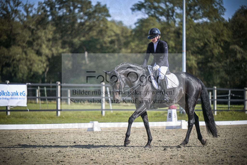 DOS_1732 | Entdecke hochwertige Reitturnierfotos von Foto Oger. Professionell, emotional und authentisch – jetzt Lieblingsmomente im Shop bestellen.Deutschlandweite Turnierfotografie. - Realisiert mit Pictrs.com