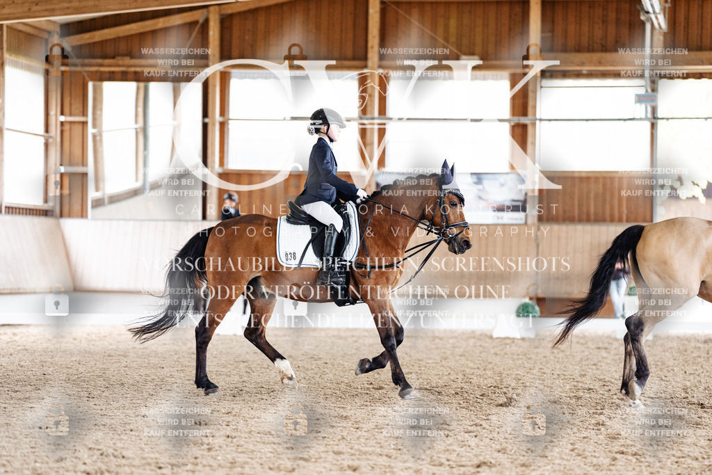 CK901592 | Turnierfotografie Pferdefotografie Trier Rheinland-Pfalz Pferdesport Reitsport Tierfotografie Sportfotografie Pferdevideo Pferdevideografie Equestrianvideography equestrianphotography  - Realisiert mit Pictrs.com
