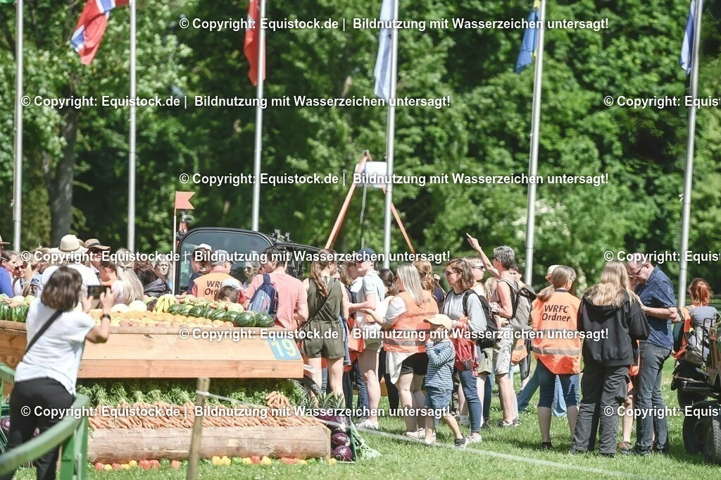 D78_2939 | equistock