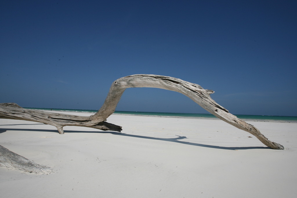 Diani Beach Kenia | BILDER AN DIE WAND                                                verschönern sie ihr Büro, ihre Praxis oder ihre viel Wände zu Haus  - Realisiert mit Pictrs.com