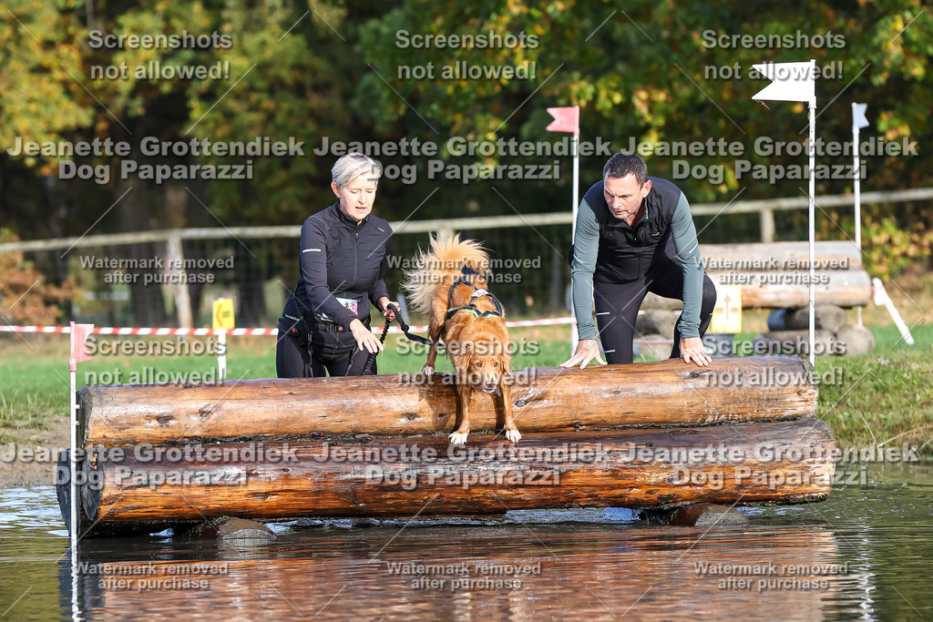 Dog Paparazzi - Strongdog 10-25-8388 | Dog Paparazzi Jeanette Grottendiek Fotografie & Videografie - Realisiert mit Pictrs.com