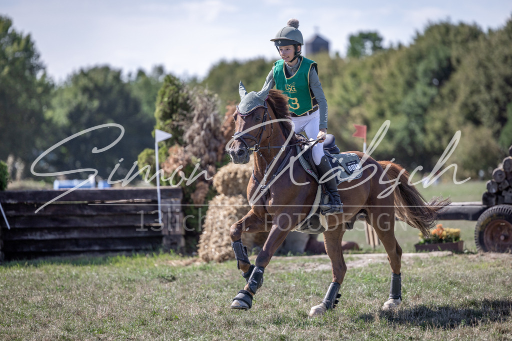 20260906-_3LI5103 | Tierfotografie Pferde, Hunde, Katzen, Haustiere.
Turnierfotografie Reitturniere, Reiten, Springreiten, Dressur in Hanau, dem Main-Kinzig-Kreis und dem Rhein-Main- Gebiet um Frankfurt