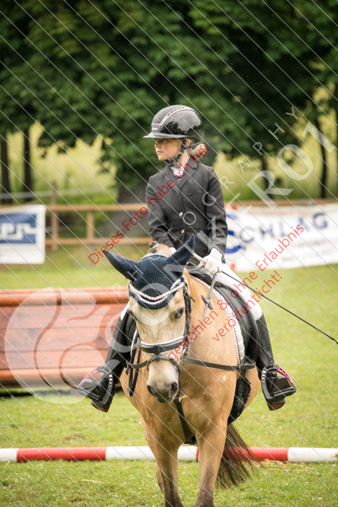DSC_4746 | Sport-, Event- und Tierfotos in Profiqualität. Einfach auswählen, bestellen und herunterladen. Dein Moment – perfekt festgehalten.