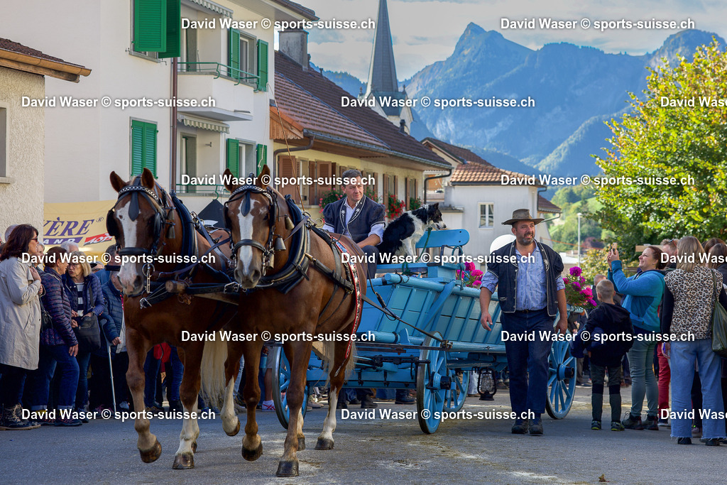 Foire et d_salpe d_Albeuve avec le troupeau de Ayer Serge et Yvan de Le Cr_t de La Tour-de-Tr_me au Bry le 04.10.25 Photos David Waser sur _ www.sports-suisse.ch _ (37) | Foire et désalpe d’Albeuve avec le troupeau de Ayer Serge et Yvan de Le Crêt de La Tour-de-Trême au Bry le 04.10.25 Photos David Waser sur " www.sports-suisse.ch "