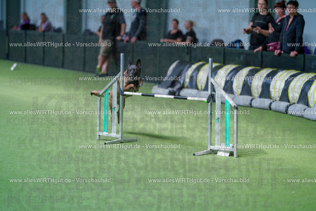 @allesWIRTHgut_Tierfotografie - www.allesWIRTHgut.de - 2604261405-7R503395 | Professionelle Tierfotografie in Mönchengladbach von Daniel Wirth (allesWIRTHgut). Liebevolle & natürliche Bilder von Hunden & Katzen für unvergessliche Erinnerungen.