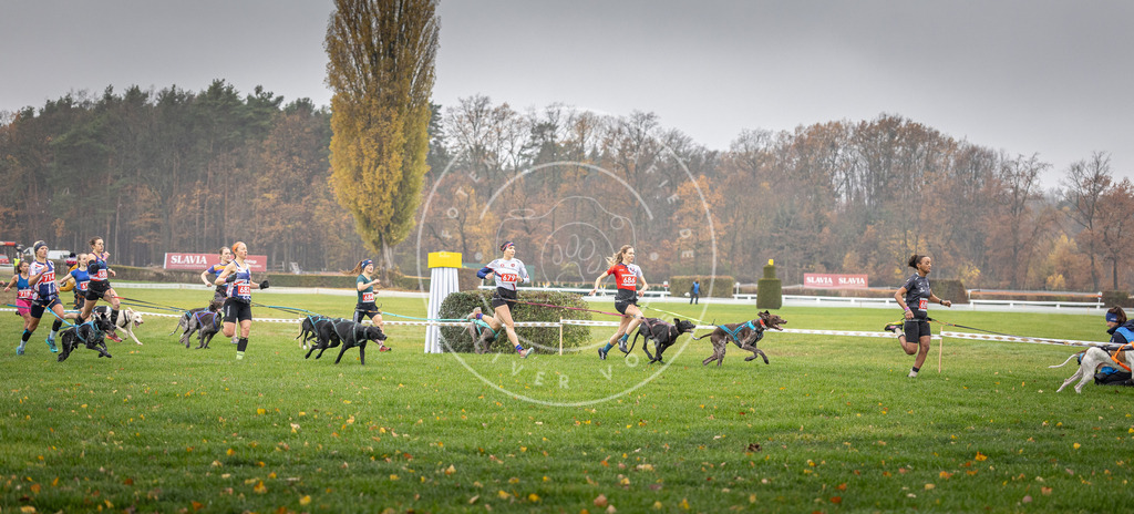 CaniXpix_DV3A8732 | Hundefotografie, Tierfotograf, Pfotenfotografie, Fotoshooting Hund, Hunde Portrait, Hundesport, Hundeportraits, Heideshooting, Hunde, Sportfotograf, Hundefotograf, Turnierhundsport, THS,  - Realisiert mit Pictrs.com