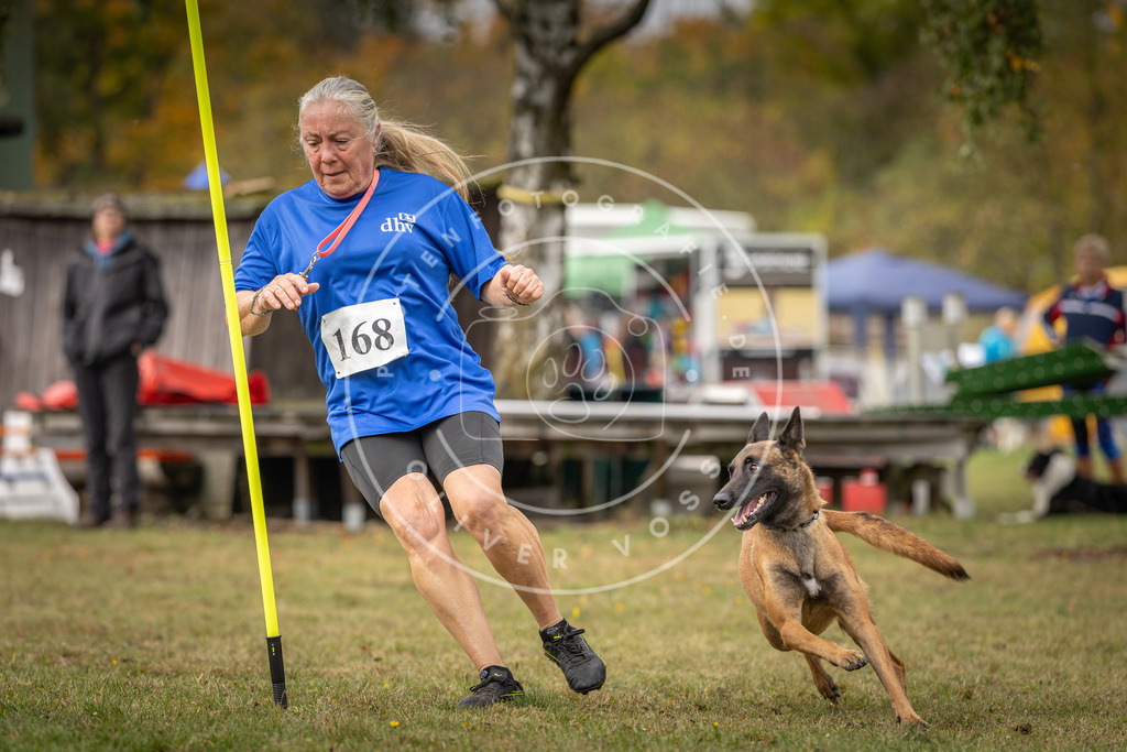 Pfotenfotografie_DV3A5593 | Hundefotografie, Tierfotograf, Pfotenfotografie, Fotoshooting Hund, Hunde Portrait, Hundesport, Hundeportraits, Heideshooting, Hunde, Sportfotograf, Hundefotograf, Turnierhundsport, THS,  - Realisiert mit Pictrs.com