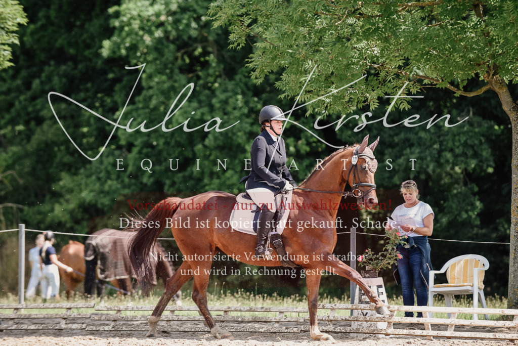 DSC_1334 | Pferde- und Turnierfotografie in Westsachsen. Pferdeportraits, Auftragszeichnungen und intuitive Kunst.
