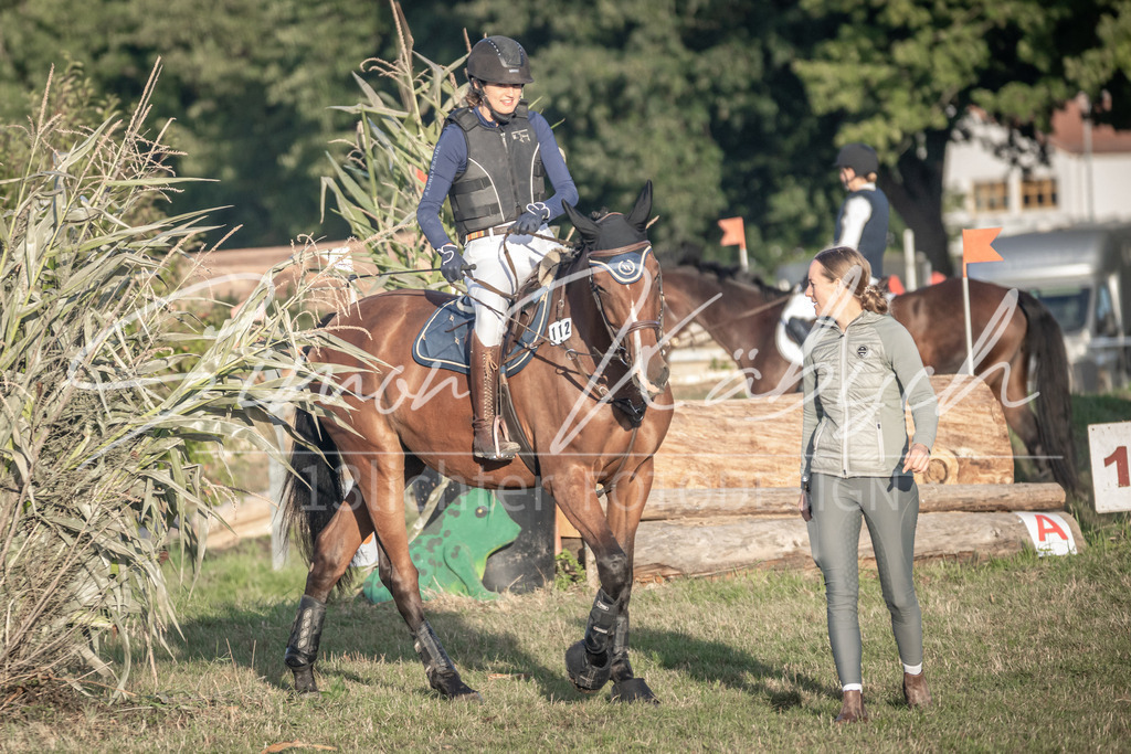 20250907-_3LR7837 | Tierfotografie Pferde, Hunde, Katzen, Haustiere.
Turnierfotografie Reitturniere, Reiten, Springreiten, Dressur in Hanau, dem Main-Kinzig-Kreis und dem Rhein-Main- Gebiet um Frankfurt