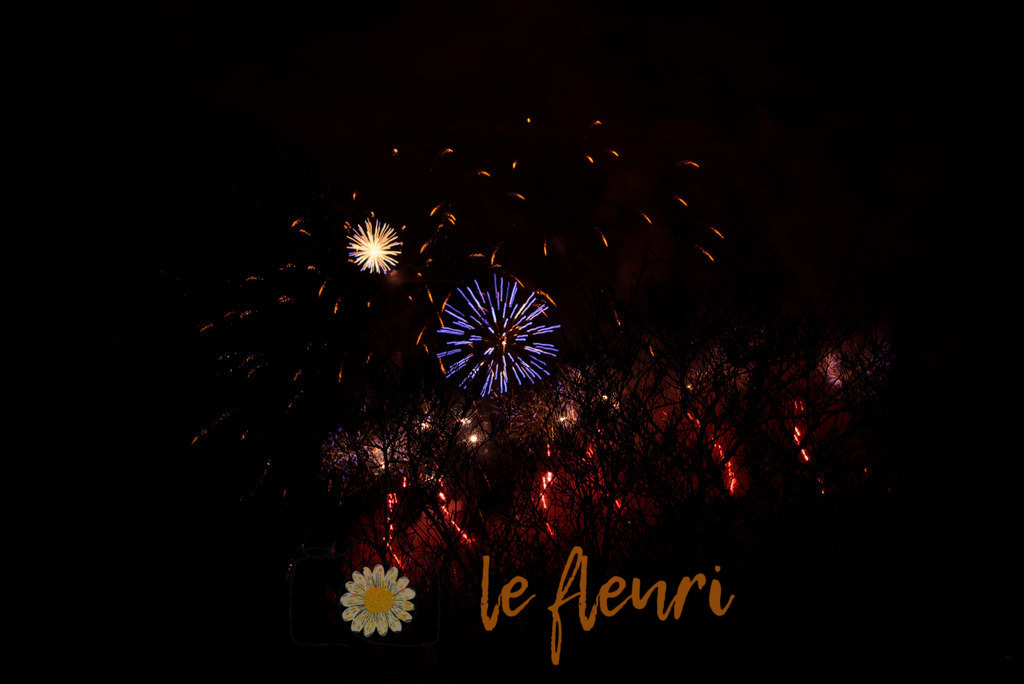 Ravellen-Club | Dies ist der Shop von Florian Blum - le fleuri. Langenthal, Bern, Schweiz. Sie können hier meine oder ihre eigenen Fotos als Fotoprodukte kaufen. Tassen, Schlüsselanhänger, Taschen etc. können Sie hier gestalten.  - Realisiert mit Pictrs.com