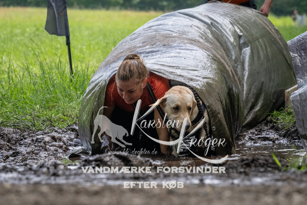 1143_ZZ94132 | kk-dogfotos