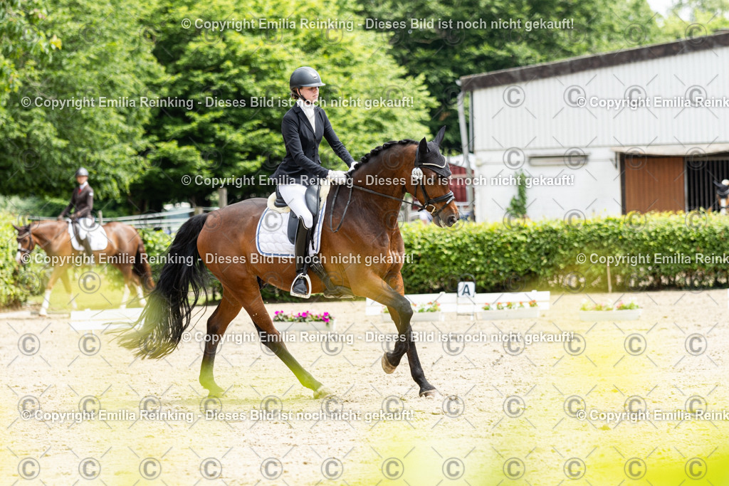 CL5A0516 | Emilia Reinking Fotografie - Realisiert mit Pictrs.com