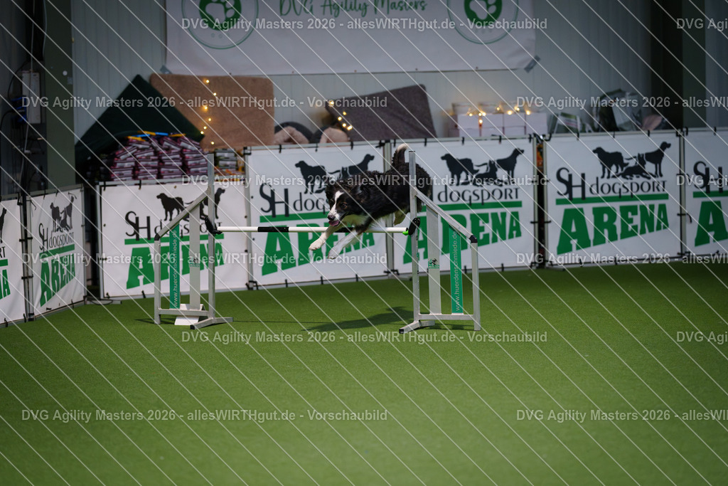 allesWIRTHgut_Tierfotografie-DVG_Agility_Masters_2026-15_07-7R502063 | Professionelle Tierfotografie in Mönchengladbach von Daniel Wirth (allesWIRTHgut). Liebevolle & natürliche Bilder von Hunden & Katzen für unvergessliche Erinnerungen.
