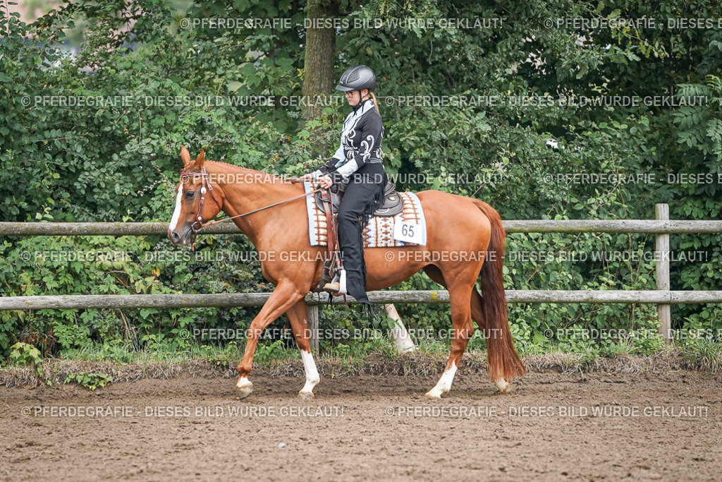 DSC01856 | Pferdegrafie