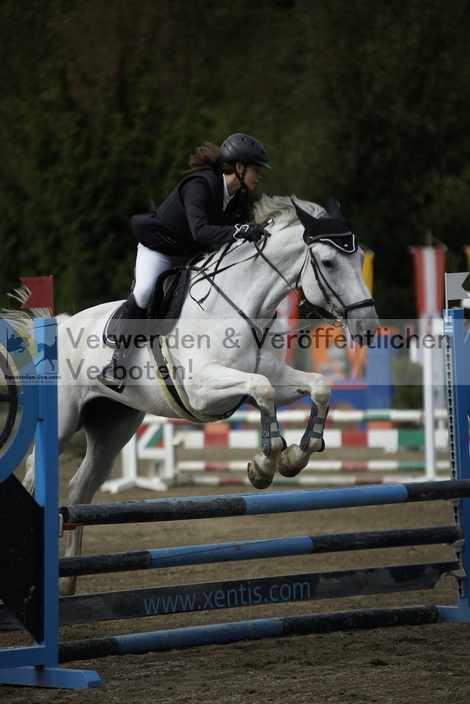 _DSC5165 | equestrian-live-com