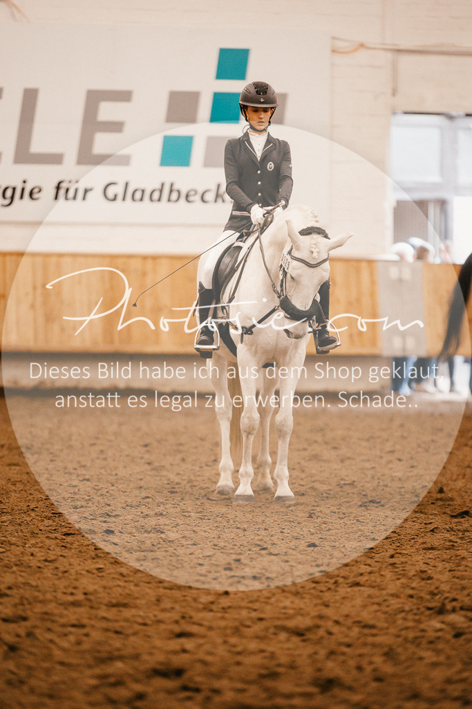 3I6A6376 | Stimmungsvolle Portraits und Reitsportfotografie im Ruhrgebiet und im Münsterland.

Pferdefotografie, Hundefotografie, Tierfotografie, Reportagen, Portraits von Tier und Mensch, Turnierfotografie in Bochum, Recklinghausen, Marl, Haltern am See, Dülmen.. - Realisiert mit Pictrs.com