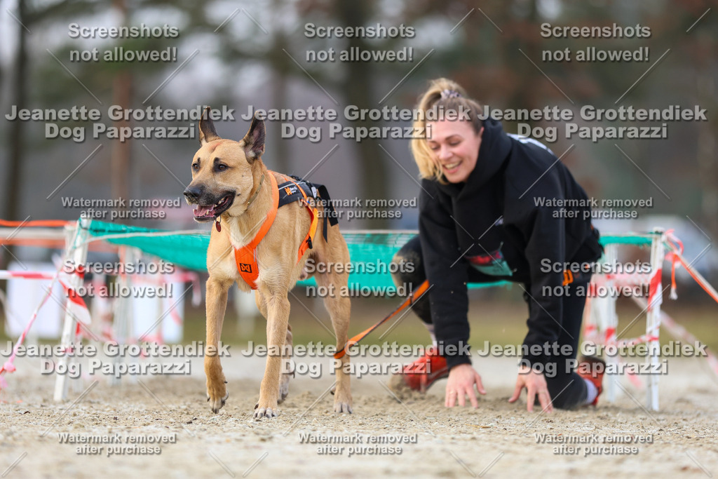 Dog Paparazzi - Strongdog North Mrz26-3800 | Dog Paparazzi Jeanette Grottendiek Fotografie & Videografie - Realisiert mit Pictrs.com