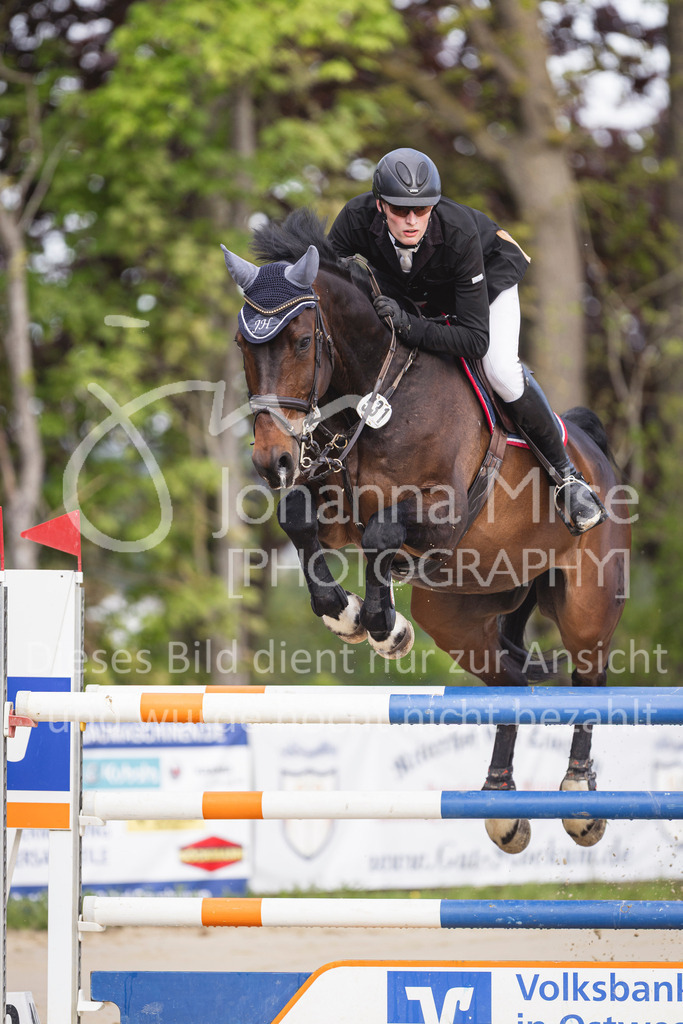 260503_Spenge_7_M2-Spr-m-steig-Anf-712 | Deine schönsten Turniermomente als professionelle Fotos! Entdecke hochwertige Pferdesport-Fotografie im Online-Shop. Jetzt Fotos finden & bestellen!