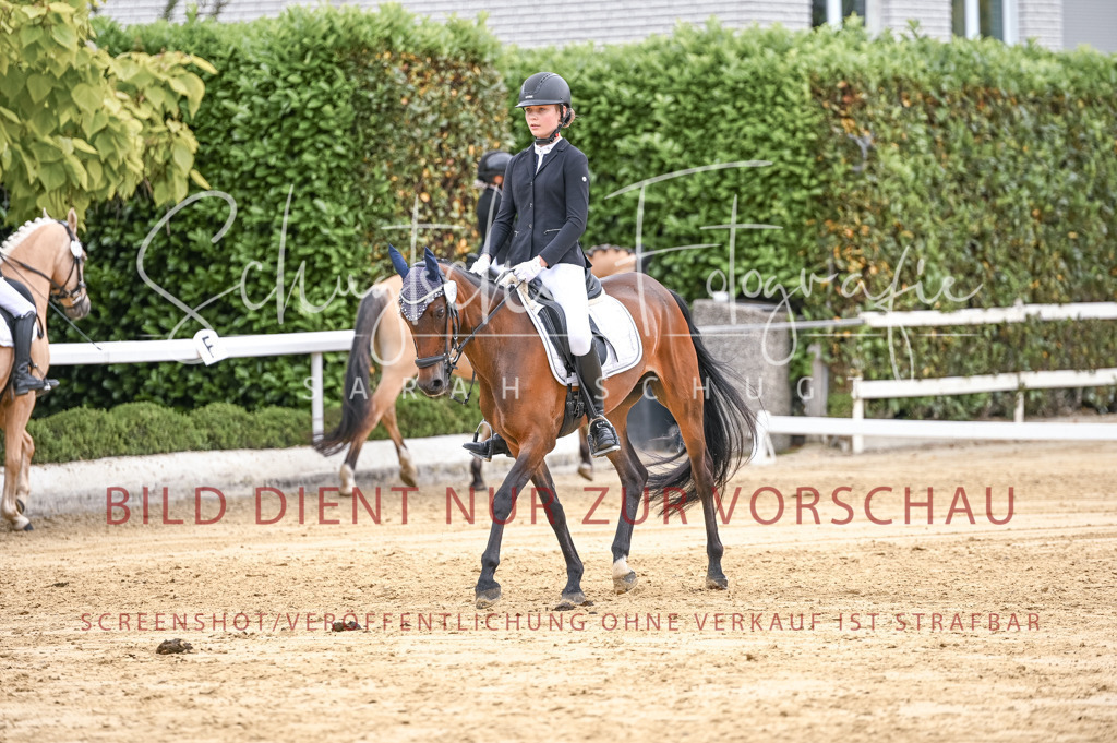 Schugtsche-Aluta25-42.EDressur -277 | Schugtsche Fotografie - Realisiert mit Pictrs.com