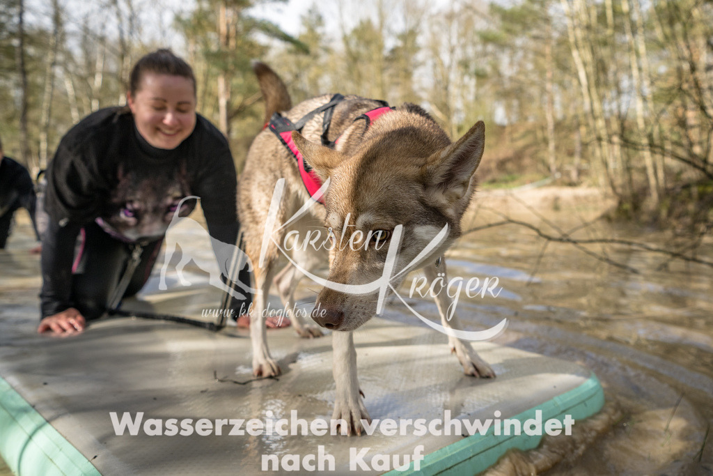 1005_ZZ92459 | kk-dogfotos
