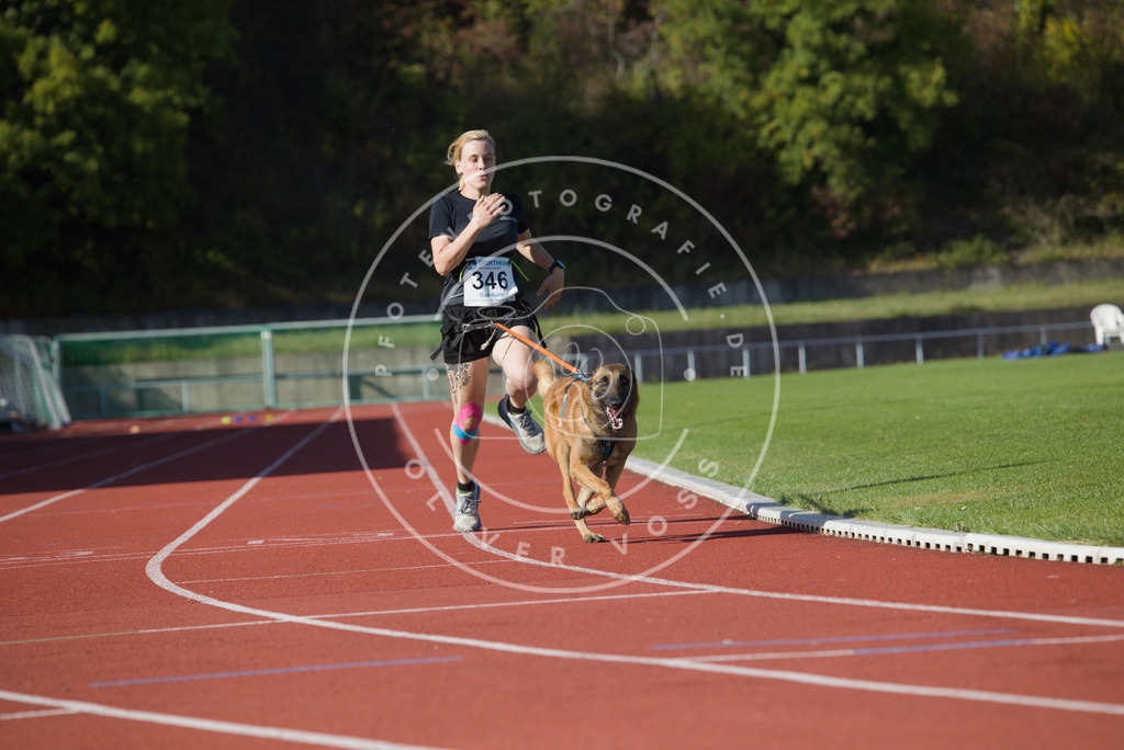 0L8A9303 | Hundefotografie, Tierfotograf, Pfotenfotografie, Fotoshooting Hund, Hunde Portrait, Hundesport, Hundeportraits, Heideshooting, Hunde, Sportfotograf, Hundefotograf, Turnierhundsport, THS,  - Realisiert mit Pictrs.com