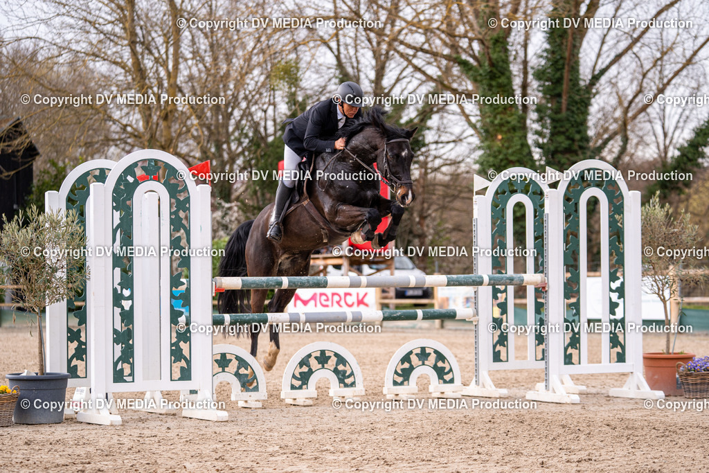 Kranichstein Tag 2-341 | dv-media-shop - Realisiert mit Pictrs.com