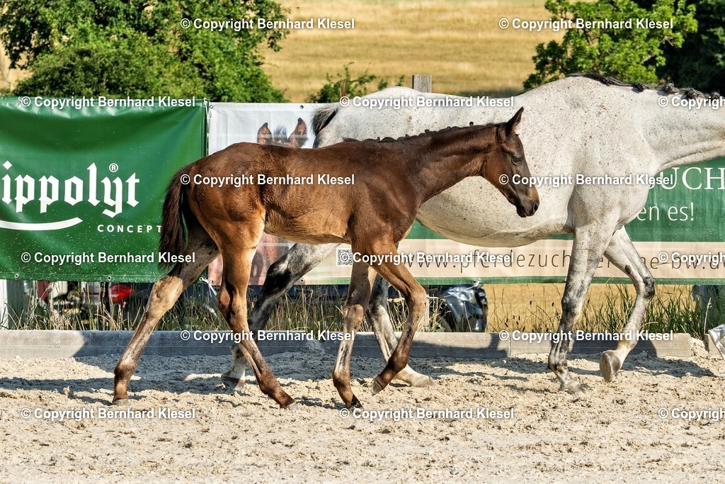 A1S08600 | foto-team-bernhard - Realisiert mit Pictrs.com