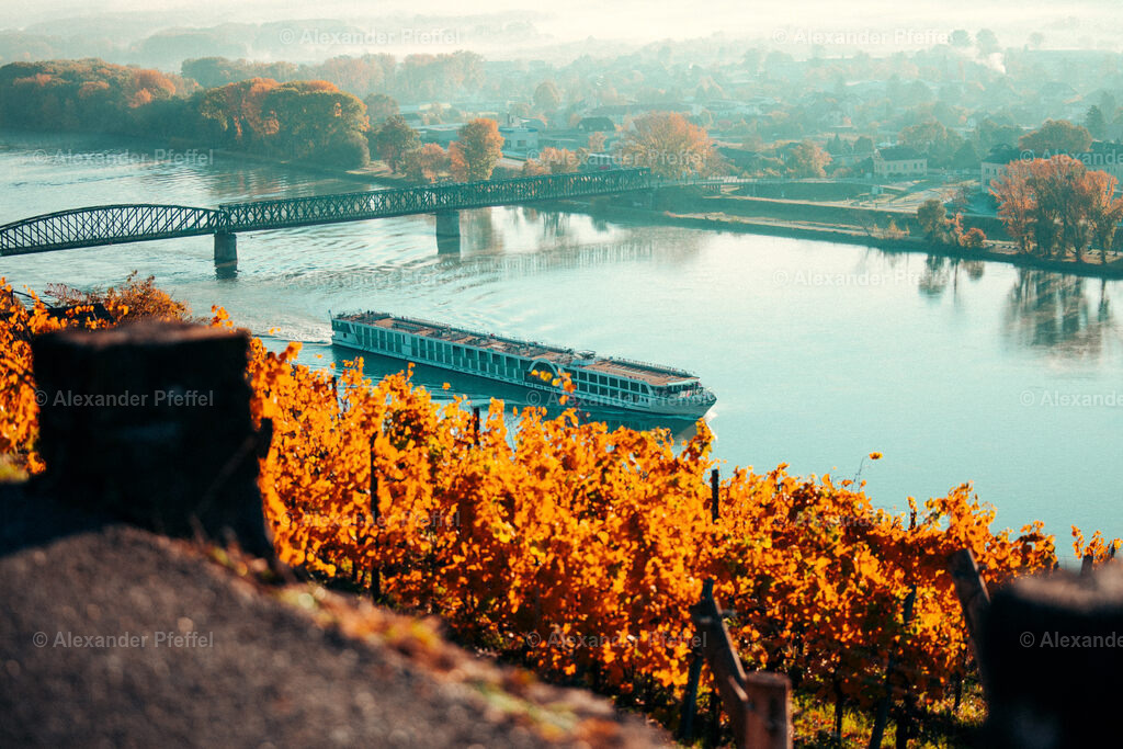 foto_c_pfeffel-partner-0109-R52_0407 | alexander-pfeffel - Realisiert mit Pictrs.com