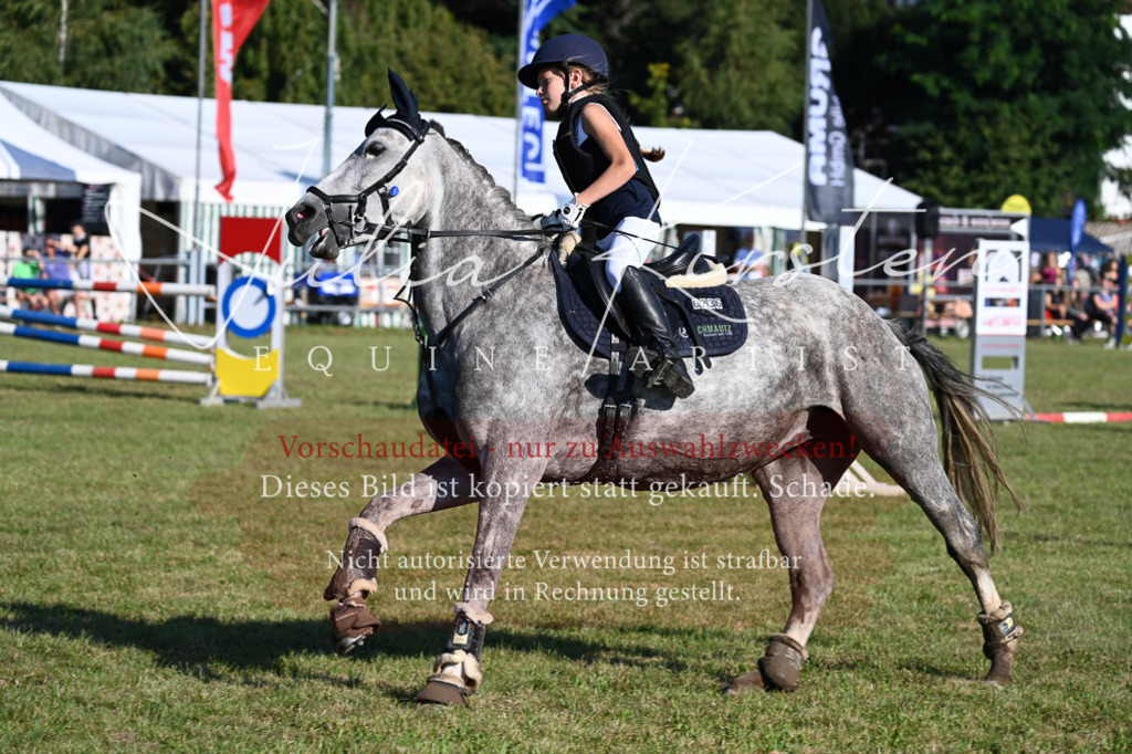 DSC_5058 | Pferde- und Turnierfotografie in Westsachsen. Pferdeportraits, Auftragszeichnungen und intuitive Kunst.