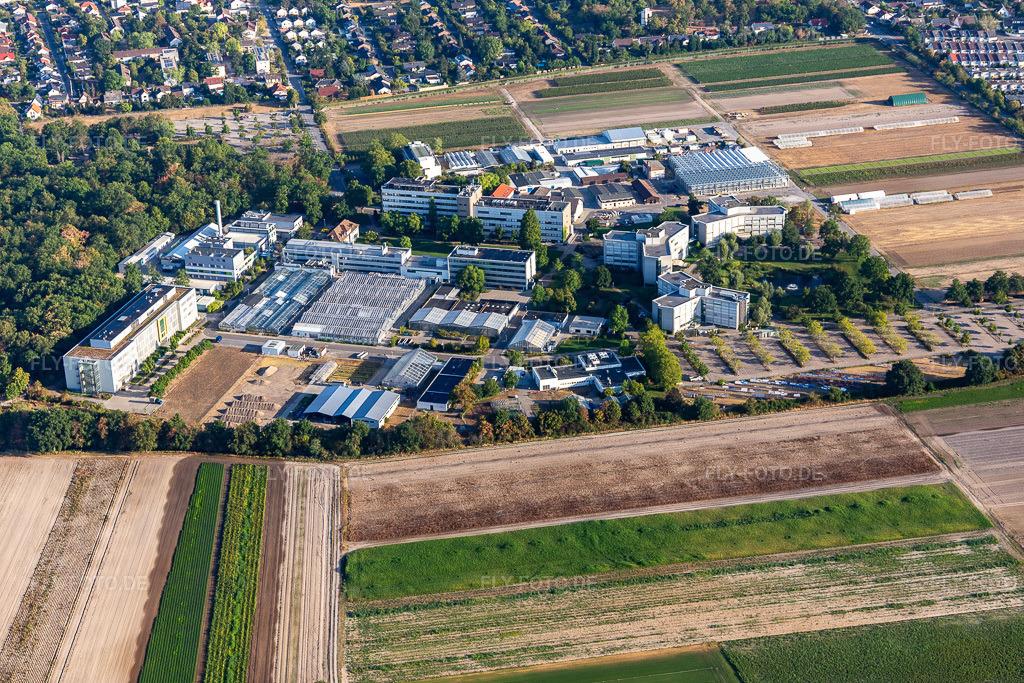 Luftbild: BASF Agricultural Center in Limburgerhof im Bundesland Rheinland-Pfalz in Deutschland. Foto: IMG_133918.jpg vom 21.08.2022 durch Werner Riehm/FLY-FOTO.deAGRICULTURE.BASF.COM