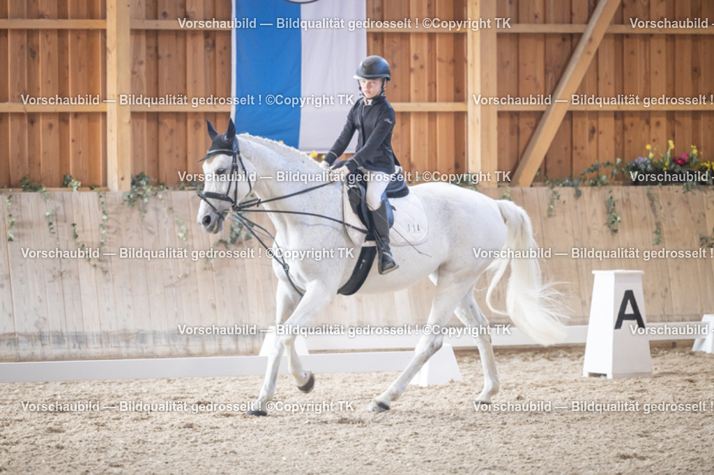 _D5A2199 | Emotionale Pferde- & People-Fotografie rund um Heidelberg, Leimen & Umgebung. Natürliche Fotos von Pferd, Mensch & Familie. Jetzt Termin sichern!