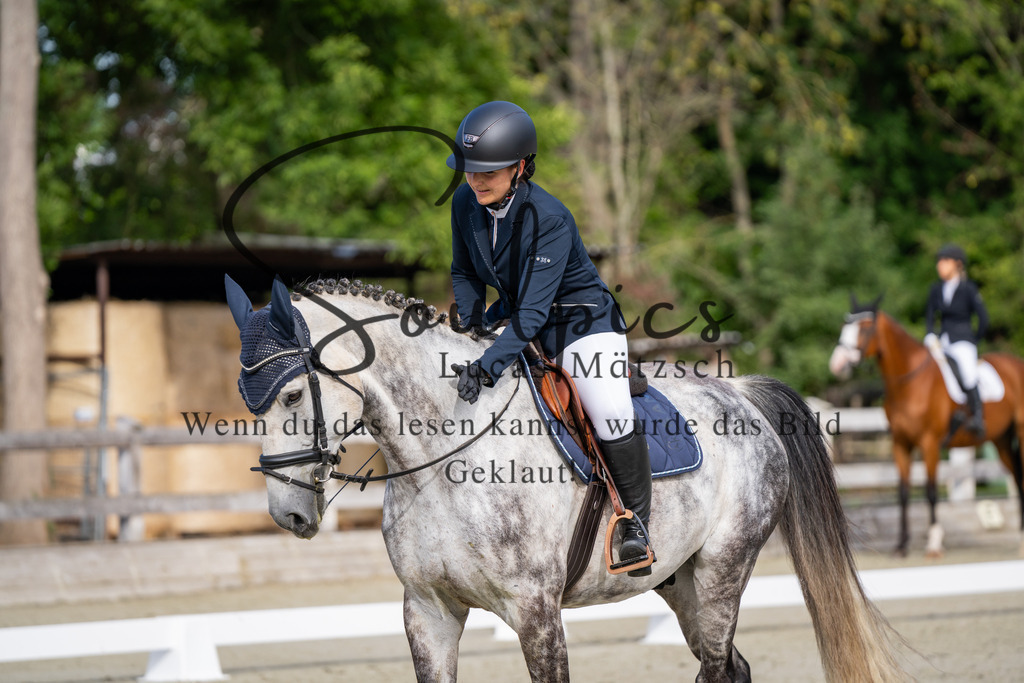 A7V06851 | Turnier/Reitfotograf