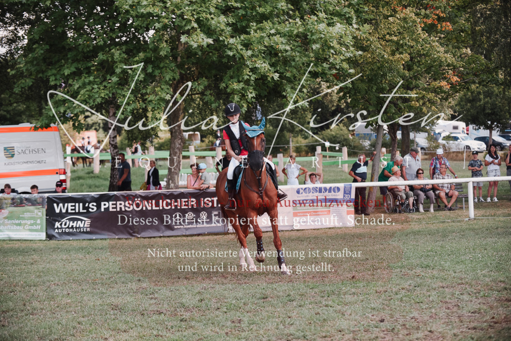 DSC_5754 | Pferde- und Turnierfotografie in Westsachsen. Pferdeportraits, Auftragszeichnungen und intuitive Kunst.