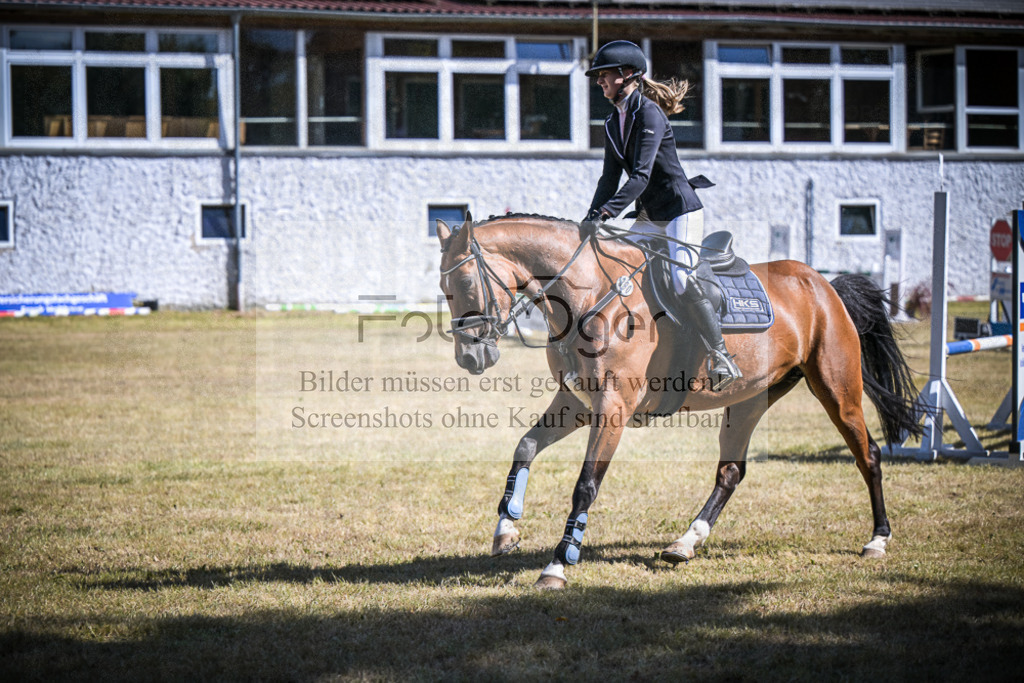 DOS_1136 | Entdecke hochwertige Reitturnierfotos von Foto Oger. Professionell, emotional und authentisch – jetzt Lieblingsmomente im Shop bestellen.Deutschlandweite Turnierfotografie. - Realisiert mit Pictrs.com