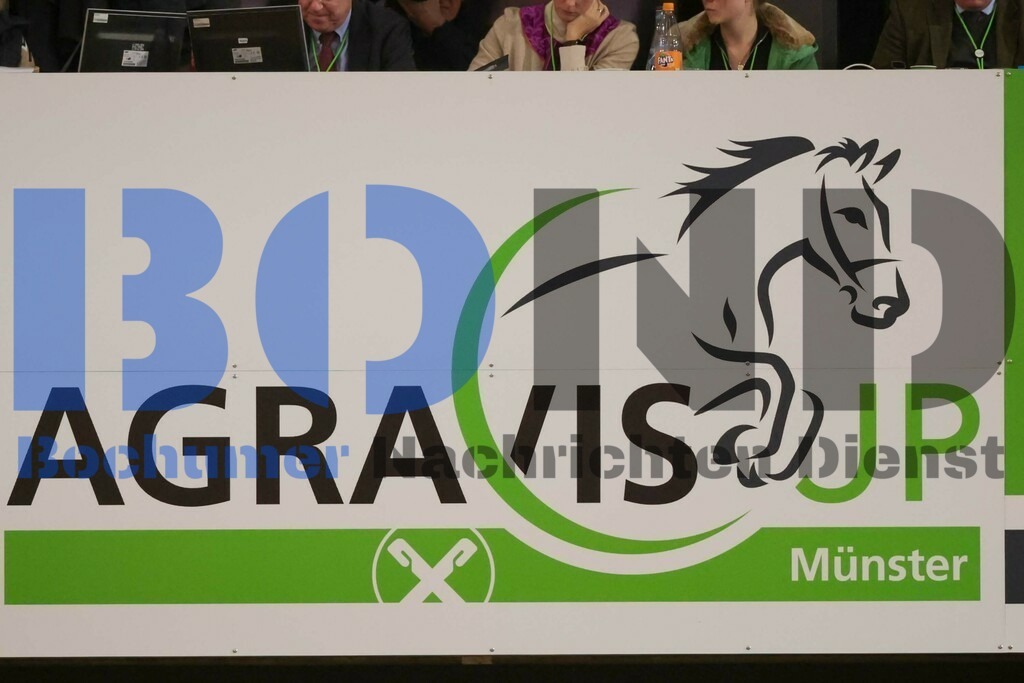 Agravis Cup 2024 - Derby-Pferdefutter Preis {date} -  | {headline}



(Foto: Sebastian Sendlak / BOND)

 - Realisiert mit Pictrs.com