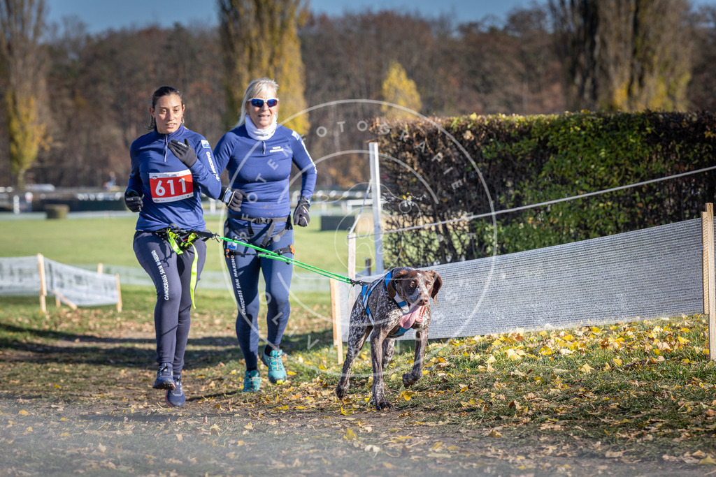 CaniXpix_DV3A9744 | Hundefotografie, Tierfotograf, Pfotenfotografie, Fotoshooting Hund, Hunde Portrait, Hundesport, Hundeportraits, Heideshooting, Hunde, Sportfotograf, Hundefotograf, Turnierhundsport, THS,  - Realisiert mit Pictrs.com