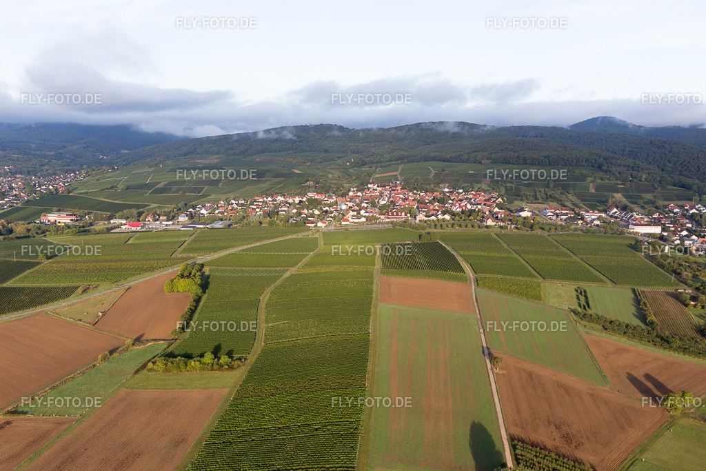 Ortsansicht | Luftbild: Ortsansicht im Ortsteil Schweigen in Schweigen-Rechtenbach im Bundesland Rheinland-Pfalz in Deutschland. Foto: IMG_103268.jpg vom 10.09.2017 durch Werner Riehm/FLY-FOTO.de - Realisiert mit Pictrs.com