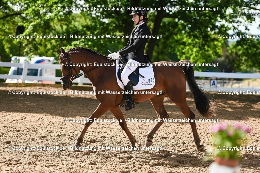20230716_04_Dressurreiterprüfung Kl.A_0175 | equistock