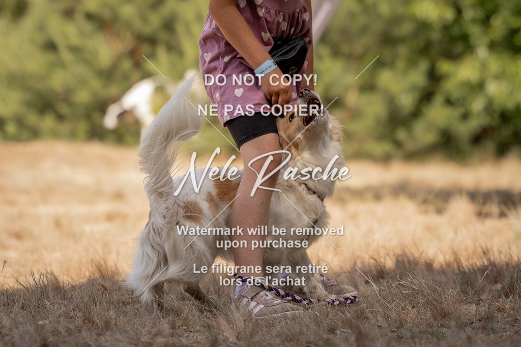 nelerasche_soDD2_296 | nelerasche