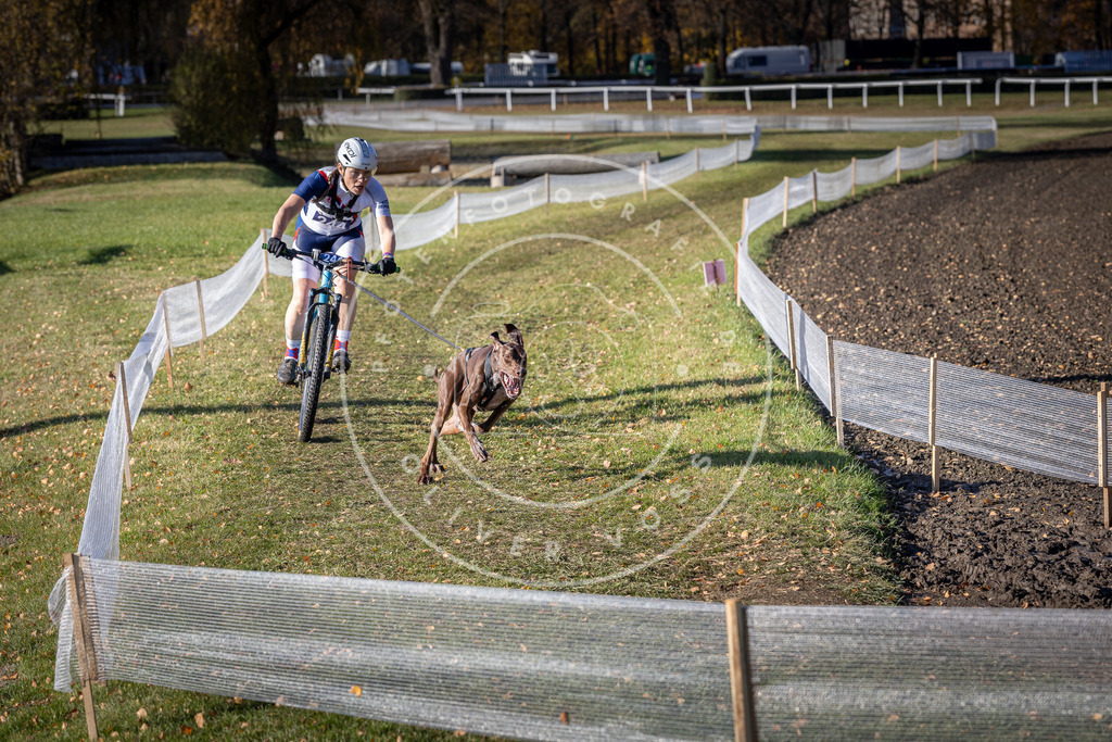 CaniXpix_DV3A4397 | Hundefotografie, Tierfotograf, Pfotenfotografie, Fotoshooting Hund, Hunde Portrait, Hundesport, Hundeportraits, Heideshooting, Hunde, Sportfotograf, Hundefotograf, Turnierhundsport, THS,  - Realisiert mit Pictrs.com