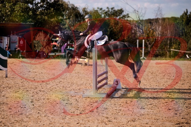 2026_10_03_Siefer-Hof_154922_Z81_68070873 | Professionelle Reitsport-, Turnier- und Eventfotografie von Robert Broda. Galerien mit ausgewählten und bearbeiteten Bildern direkt online ansehen und bestellen.