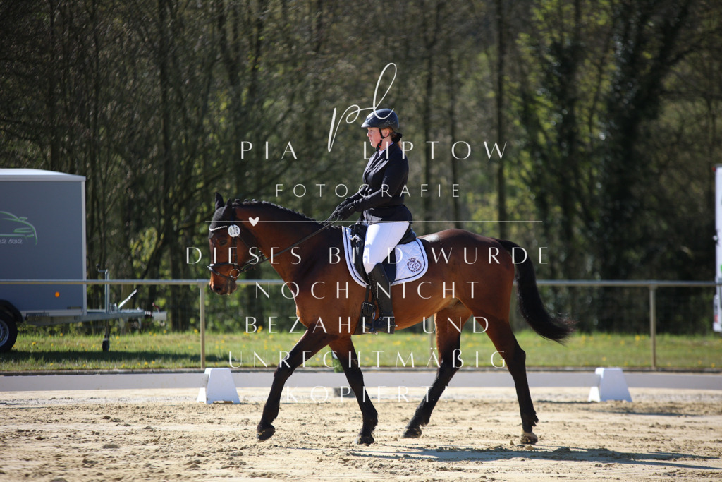 IMGT9429 | pl-fotografie