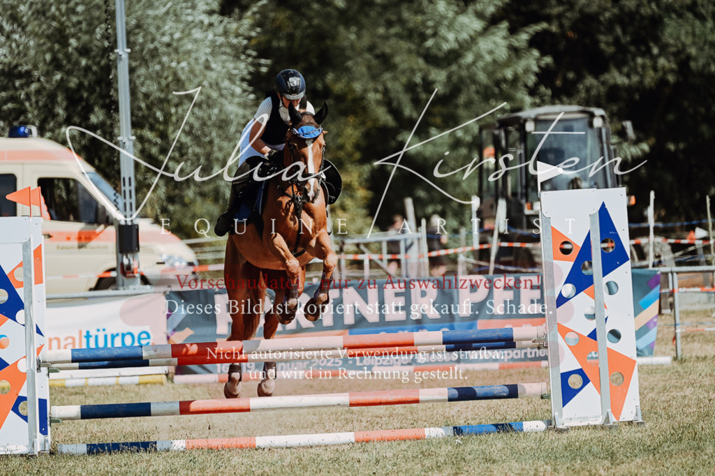 DSC_9632 | Pferde- und Turnierfotografie in Westsachsen. Pferdeportraits, Auftragszeichnungen und intuitive Kunst.