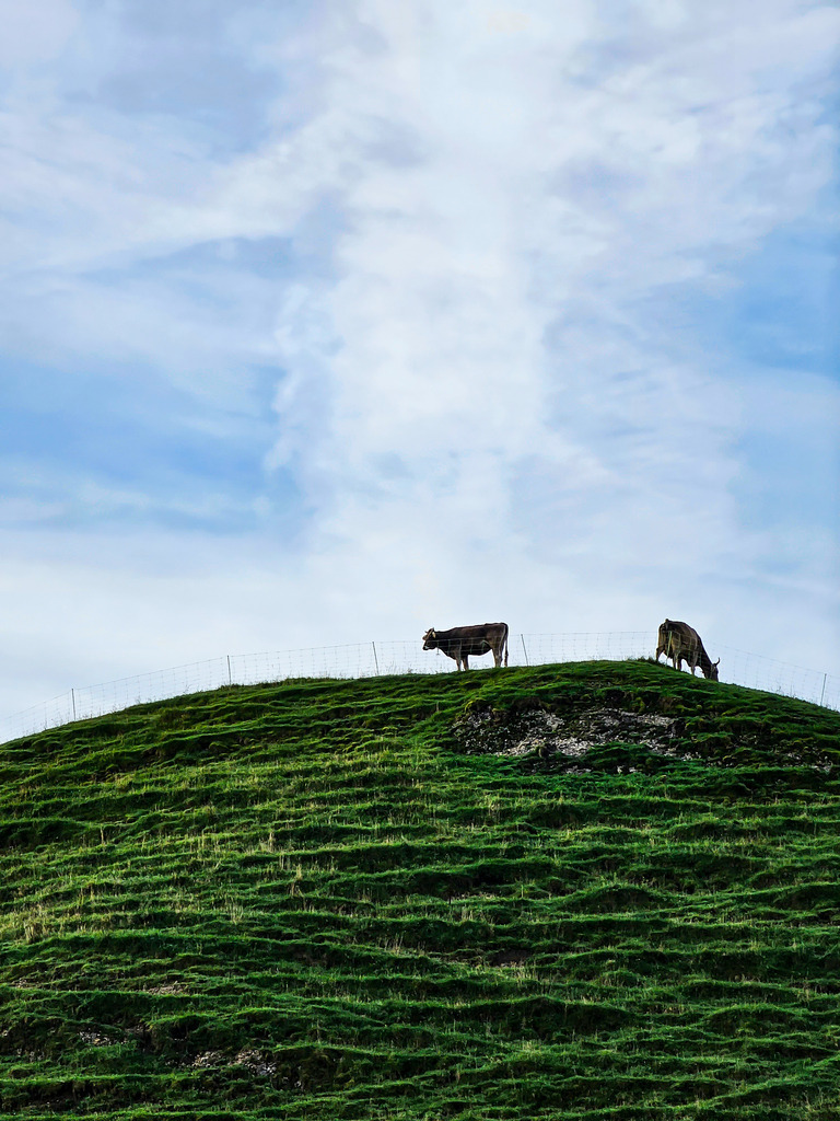 PSX_20230903_224421 | mtkfoto_ - Realisiert mit Pictrs.com