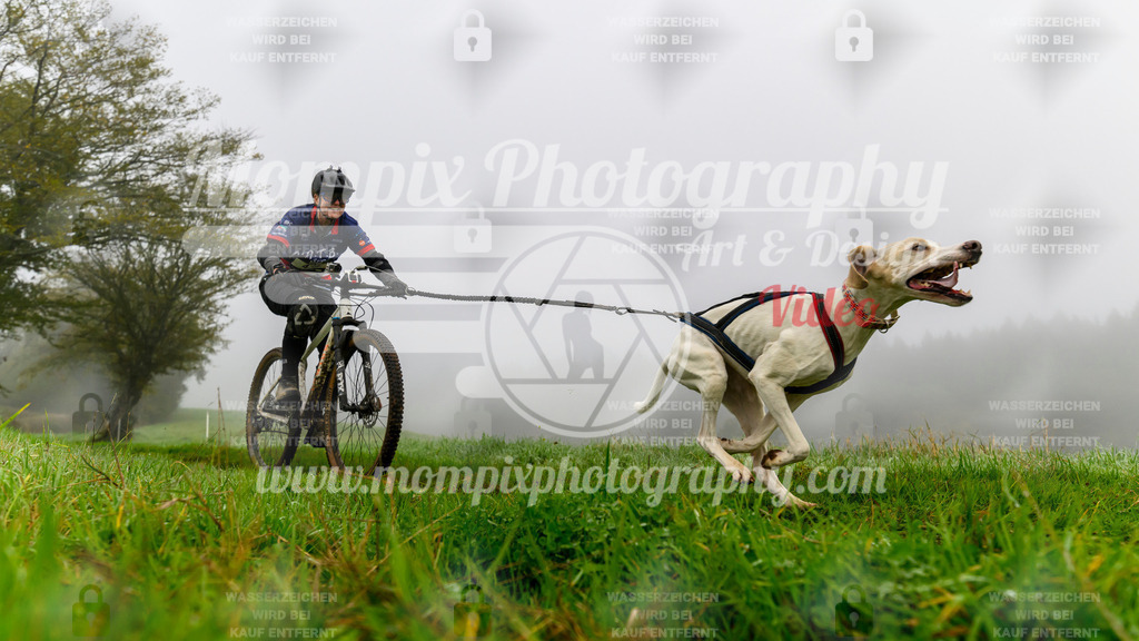 MompixPhotography_20TSB_E5_Bike-83 | PayLife