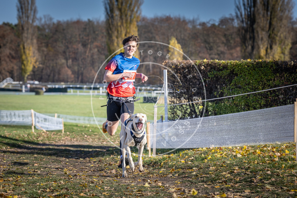 CaniXpix_DV3A8985 | Hundefotografie, Tierfotograf, Pfotenfotografie, Fotoshooting Hund, Hunde Portrait, Hundesport, Hundeportraits, Heideshooting, Hunde, Sportfotograf, Hundefotograf, Turnierhundsport, THS,  - Realisiert mit Pictrs.com
