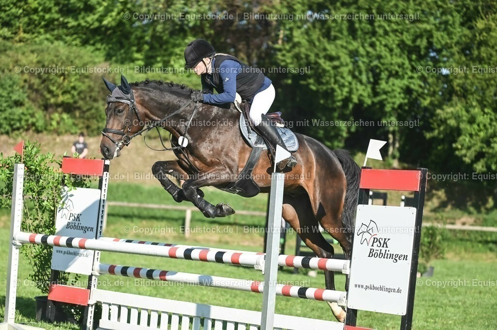 20230908_14-15_Springpferde-A_0049 | equistock